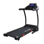 AsVIVA T16 Test