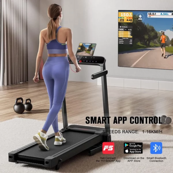 Flylink Laufband App