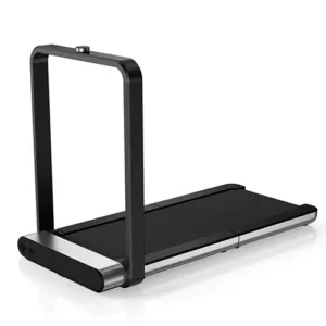 Kingsmith WalkingPad X21 Test