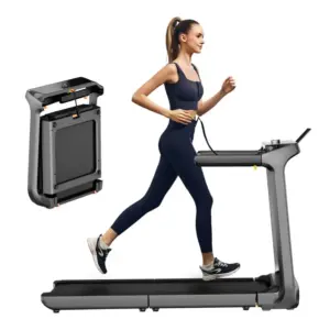 WalkingPad X218 Test