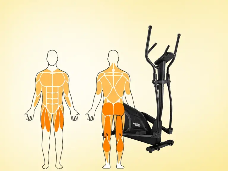 Crosstrainer Muskelgruppen