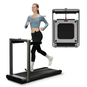 KingSmith WalkingPad X214 Test