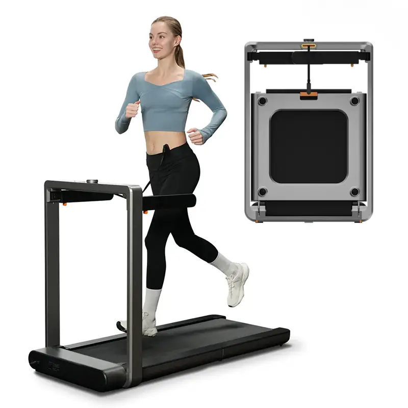 KingSmith WalkingPad X214 Test