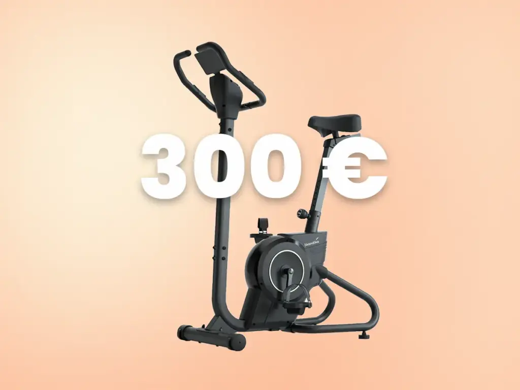 Ergometer bis 300 Euro im Test