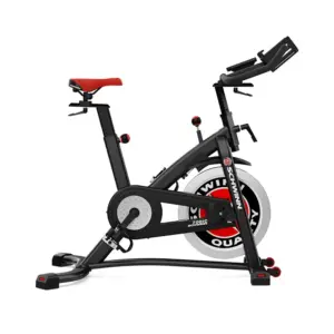 Schwinn Fitness 700IC Test