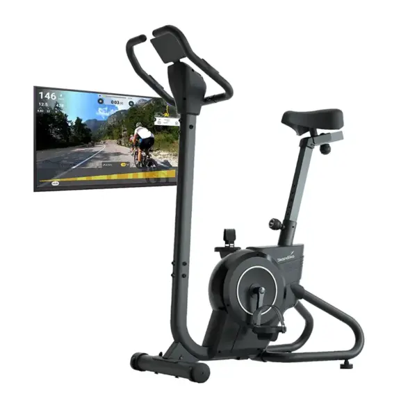 Skandika Heimtrainer Cykling P6-H Test